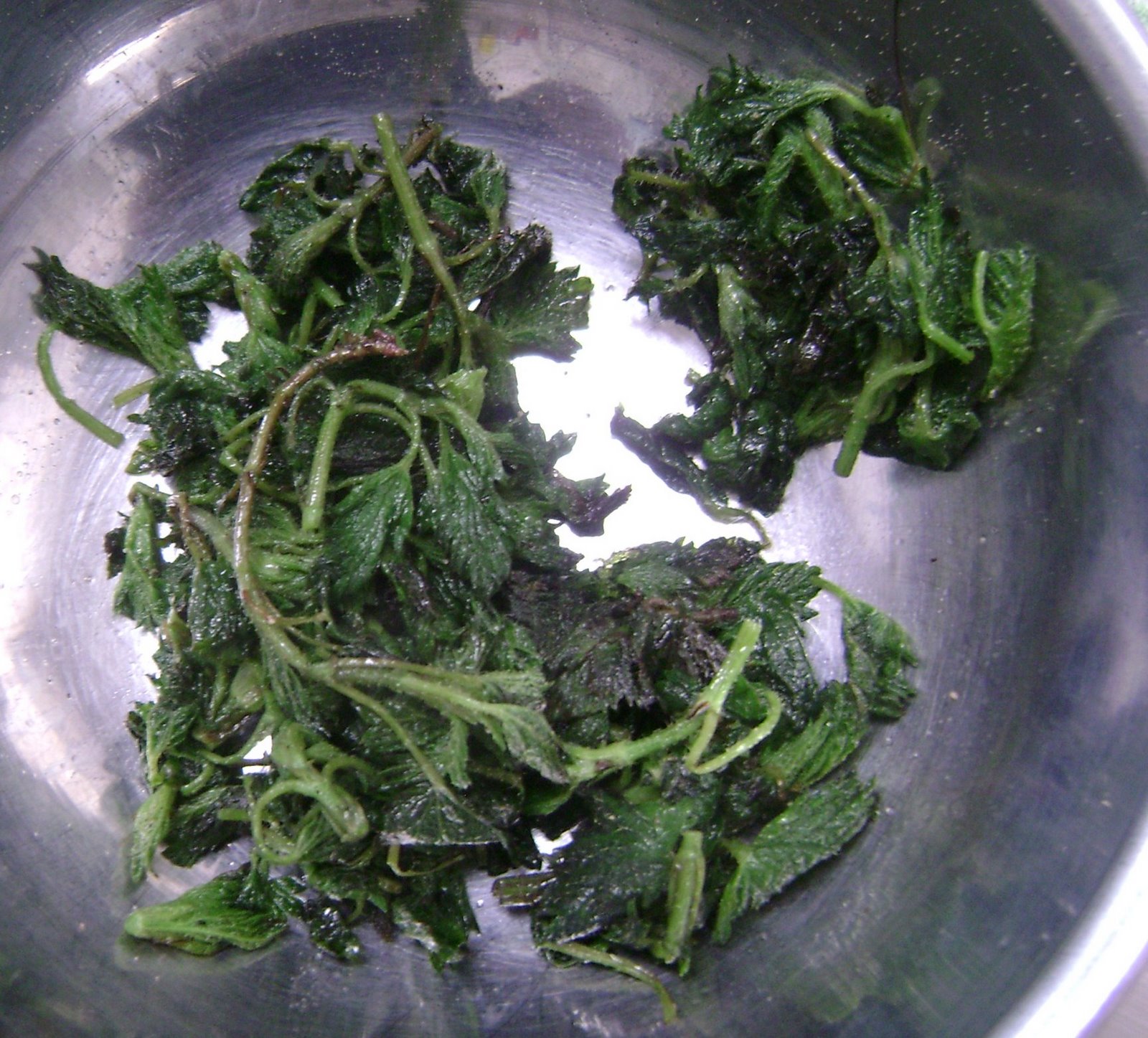 [Cooked+nettles.JPG]