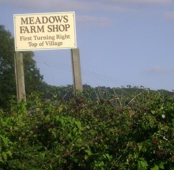 [Meadows+sign.JPG]
