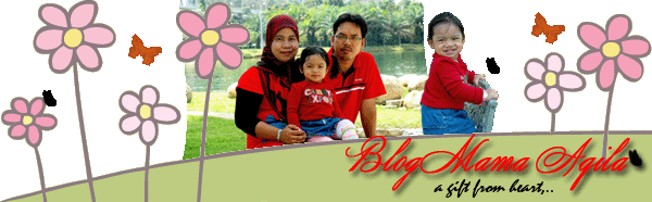 BLOG MAMA AQILAH...