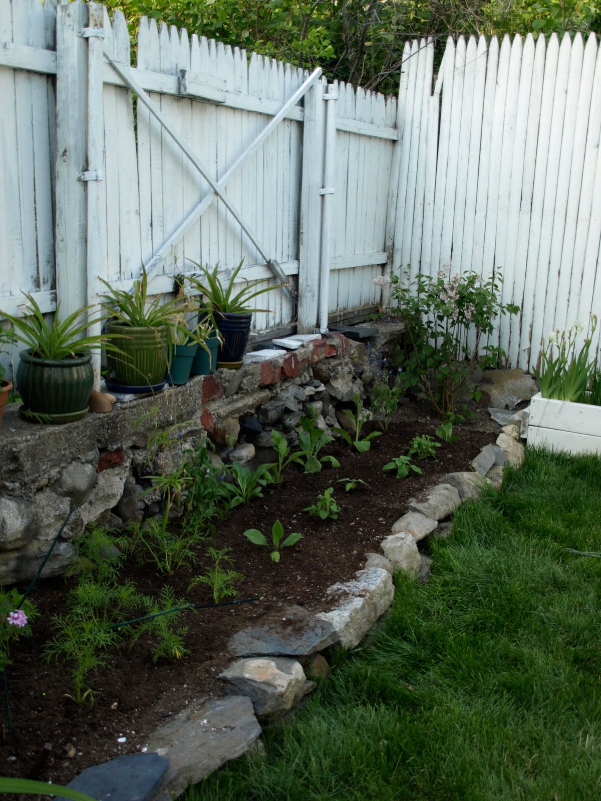 this blog i follow: May 2010