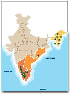 coffee growing regions