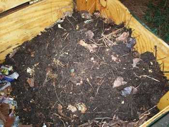 Worm Compost
