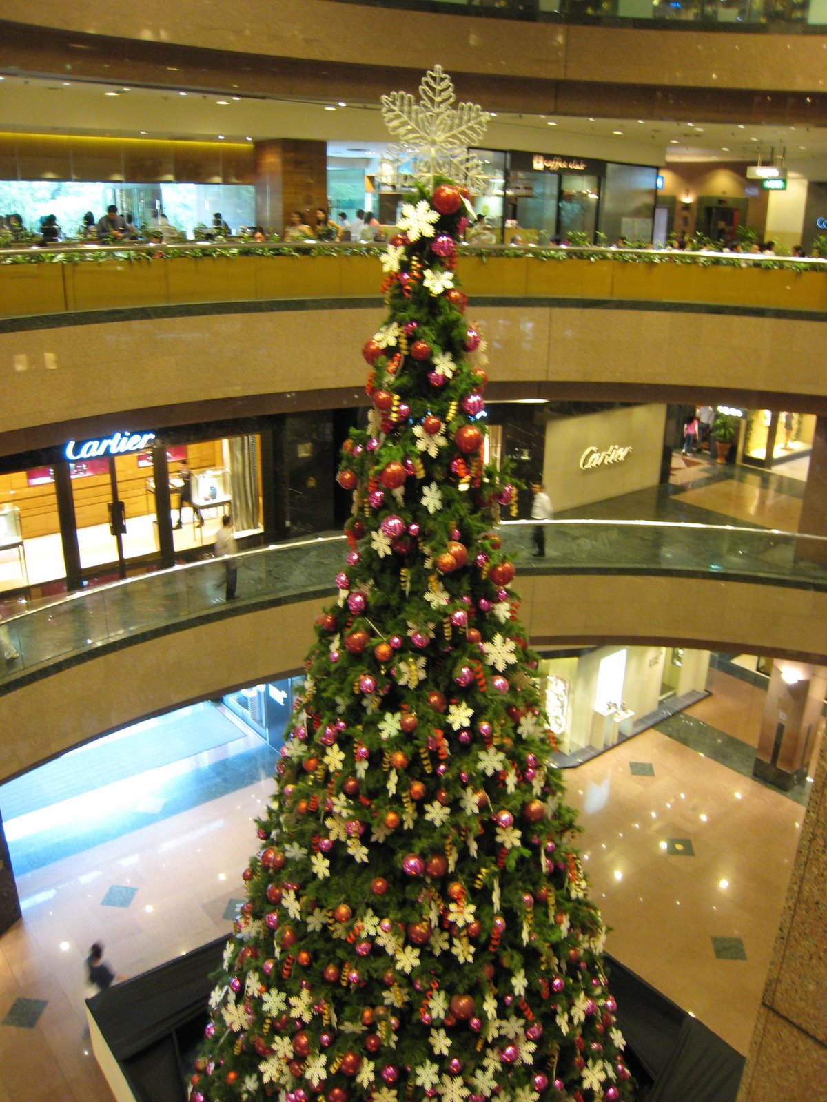 [IMG_4641.JPG]