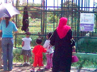  Kebun Binatang Medan  