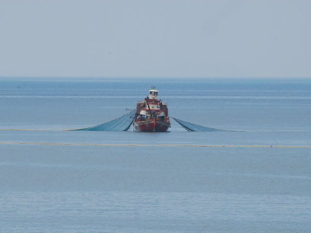 [SSC_5720.JPG]