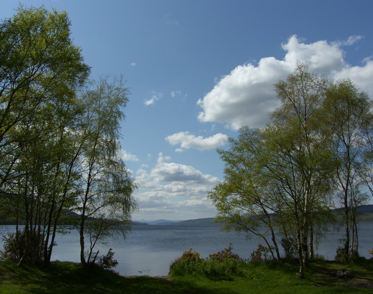 [May+Photograph+Trees+Loch+Rannoch+Scotland.jpg]
