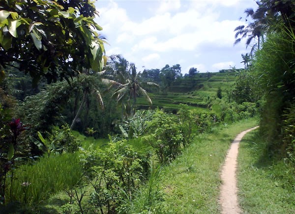 Menelusuri Jalan Setapak Borobudur: Kisah Terukir dalam Batu yang Membimbing Menuju Pencerahan