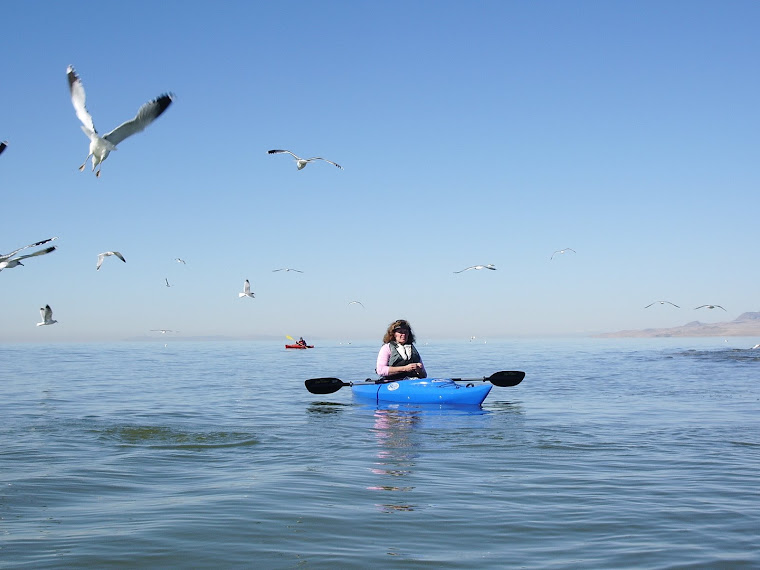 Sheryl out Kayaking on the Great Salt Lake