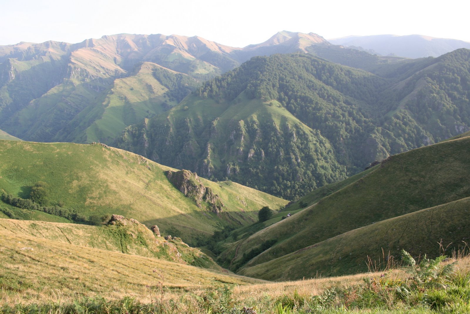 [IMG_8367.JPG]
