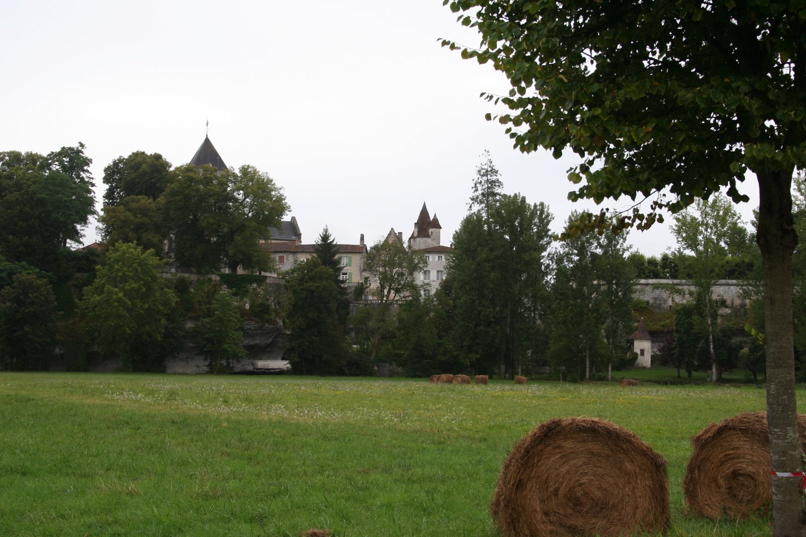 [IMG_9388.JPG]