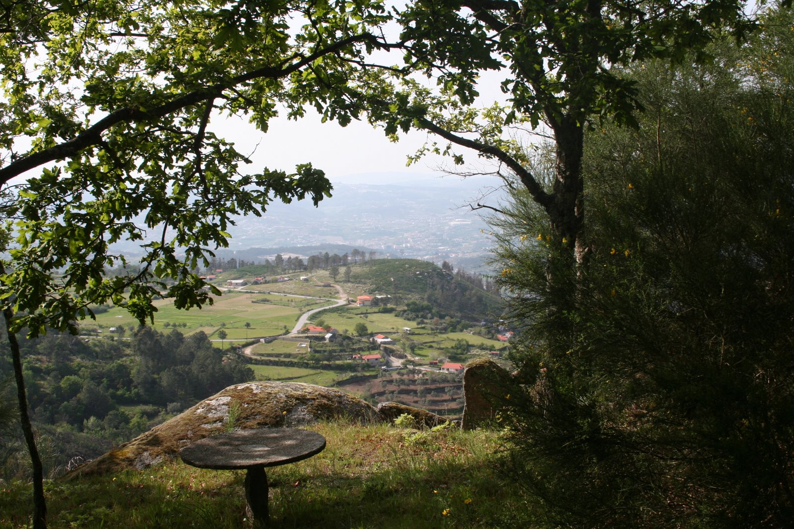 [IMG_4031.JPG]