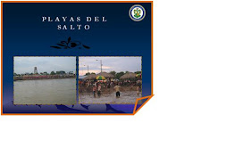 PLAYA DEL SALTO