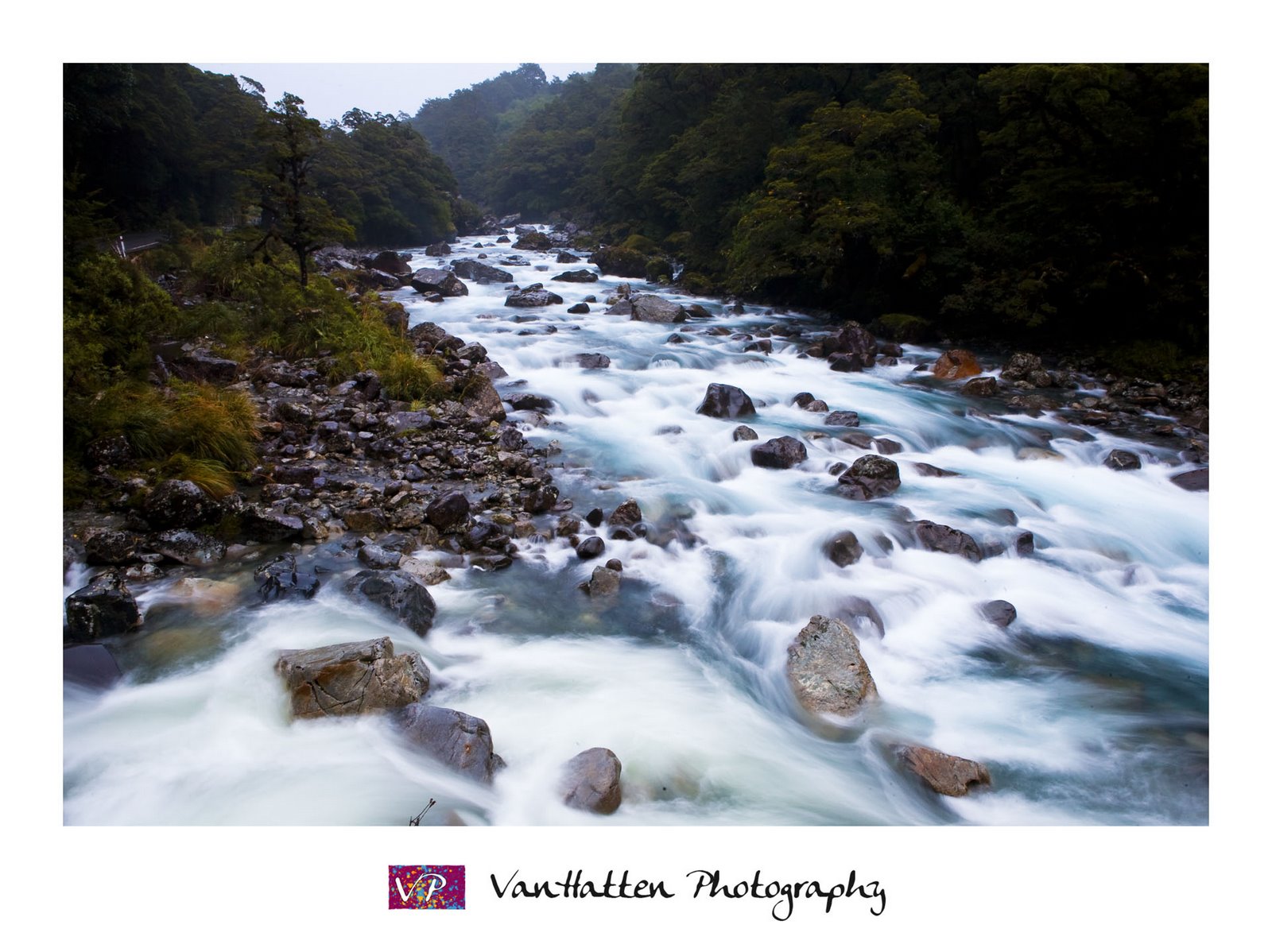 [_MG_3997.jpg]