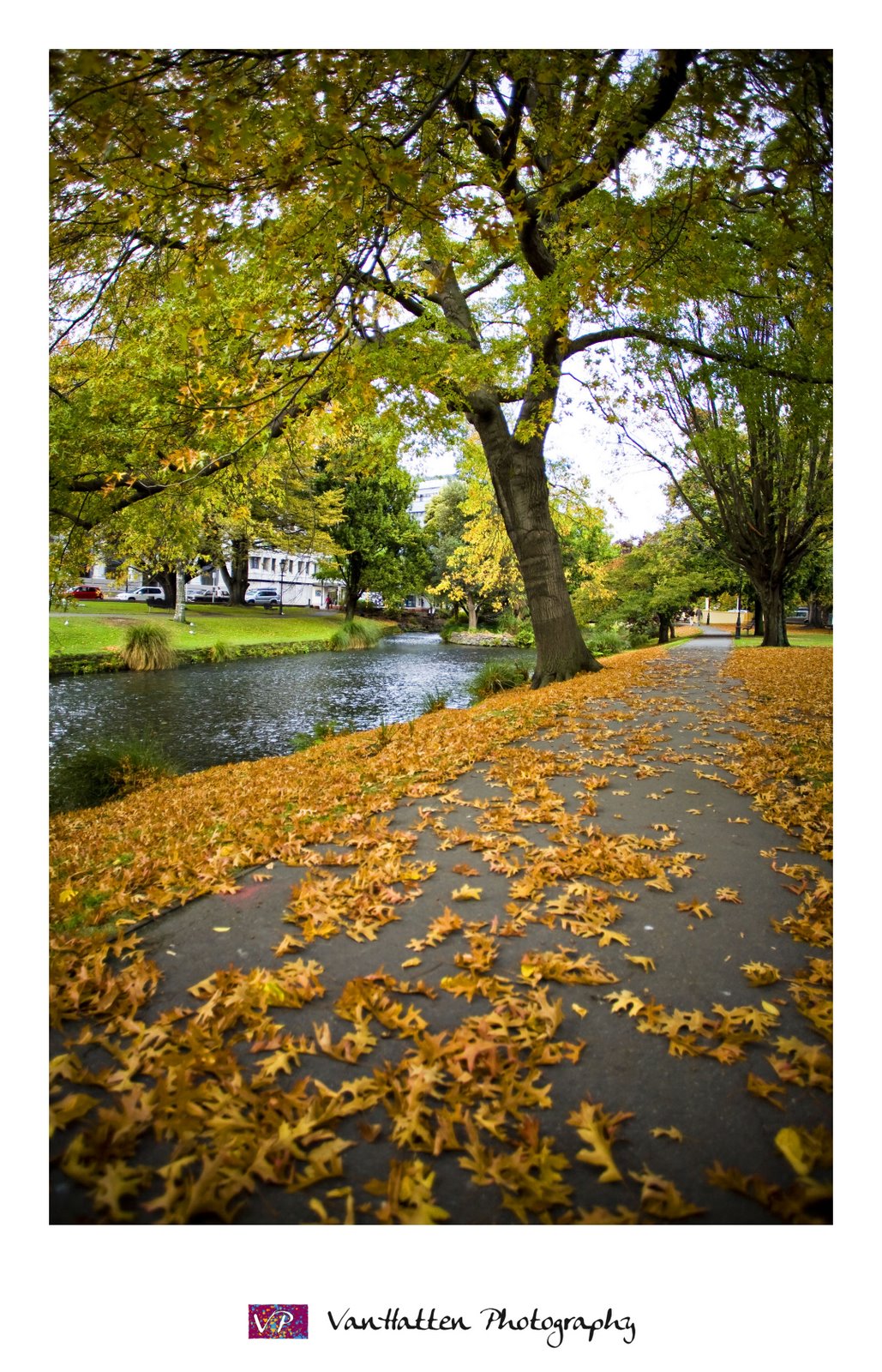[NZ_chap2_008.jpg]