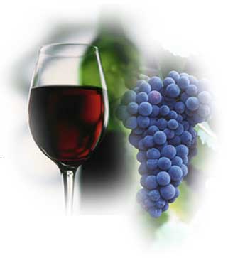 [grapes_and_glass_image.jpg]