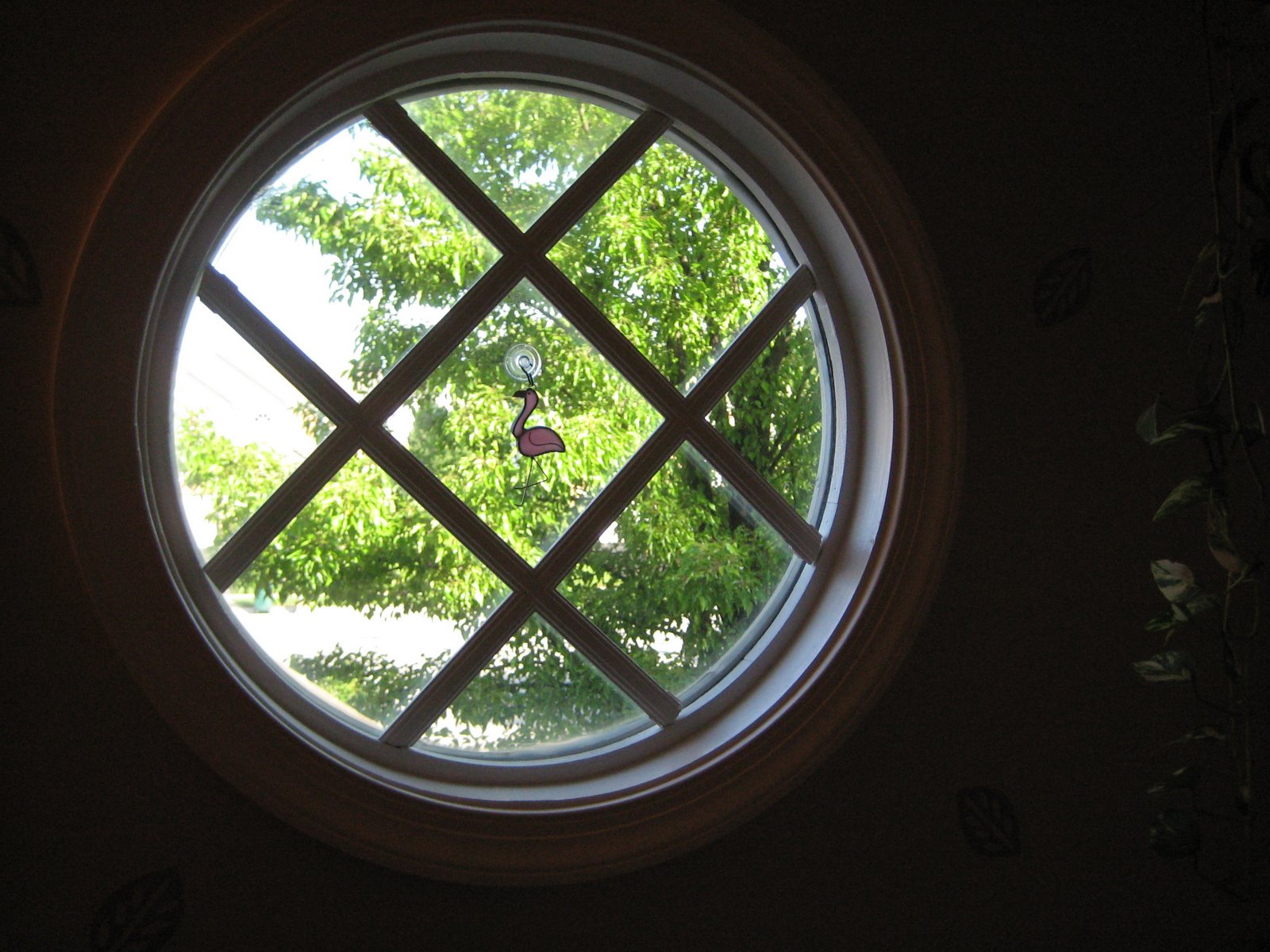 [May+2008+039.jpg]