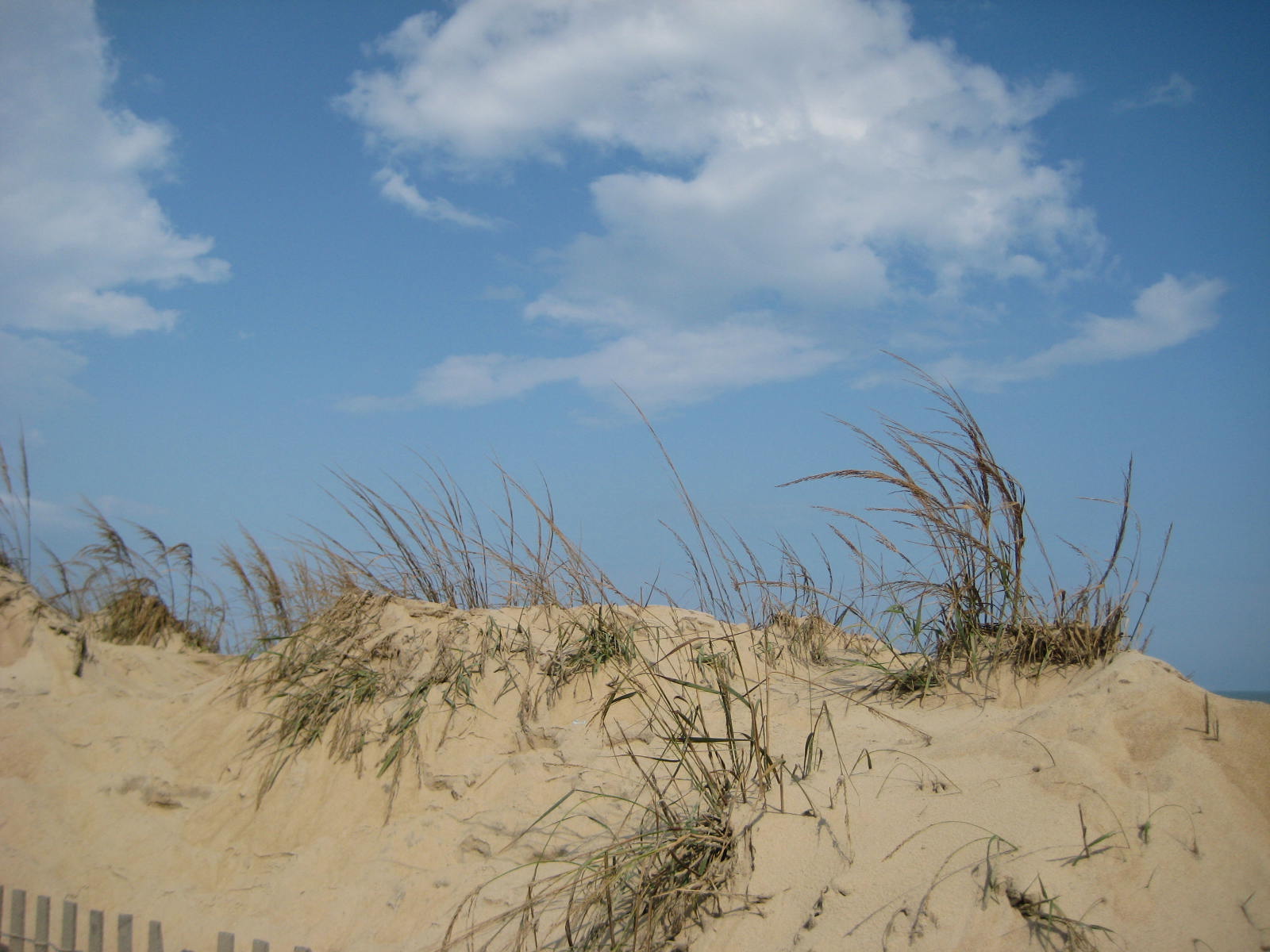 [September+2008+161.jpg]