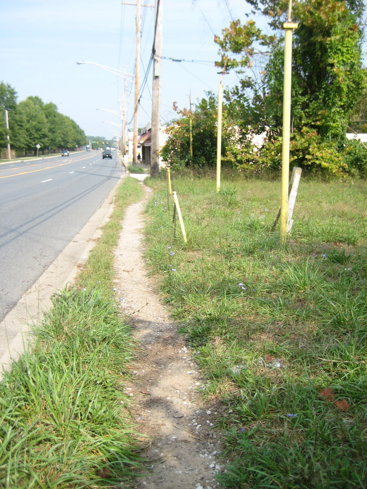 [October+2008+246.jpg]