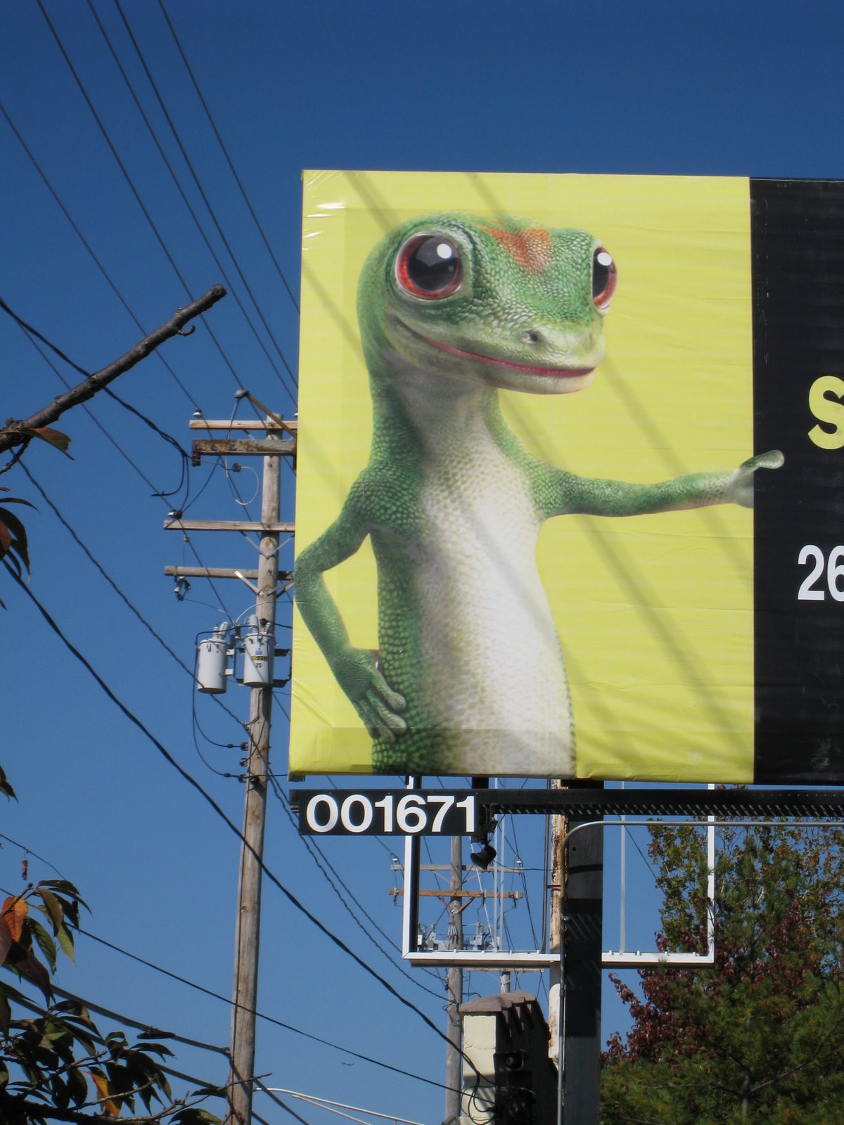 [October+2008+317.jpg]