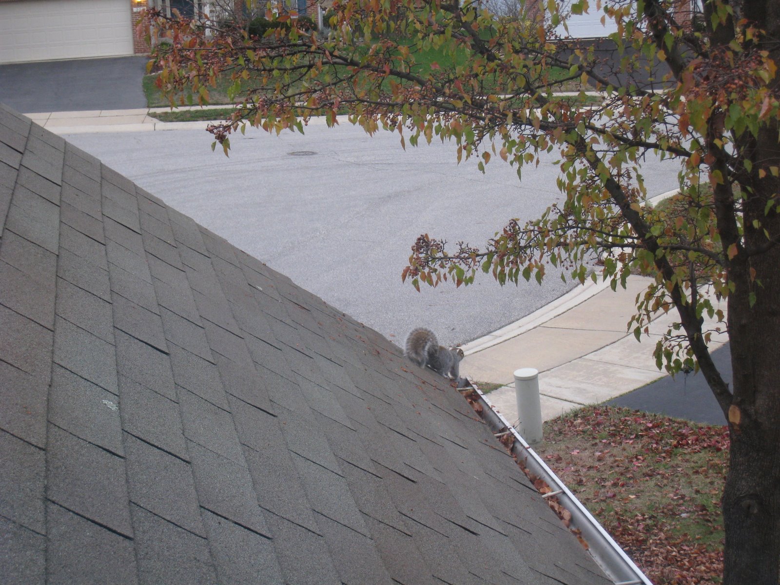 [November+2008+175.jpg]