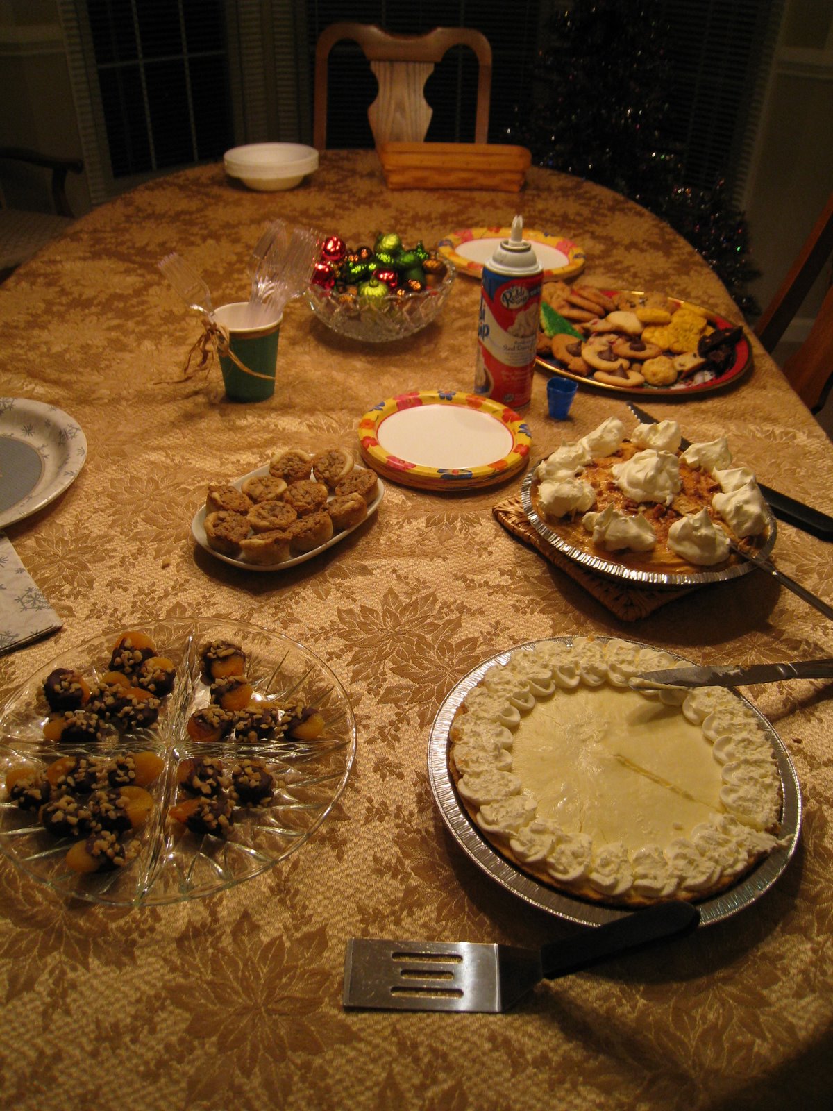 [December+2008+053.jpg]