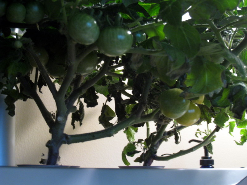 [April+2009+009.jpg]