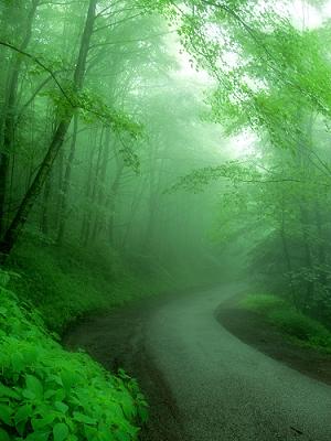 the beautiful Spring rain