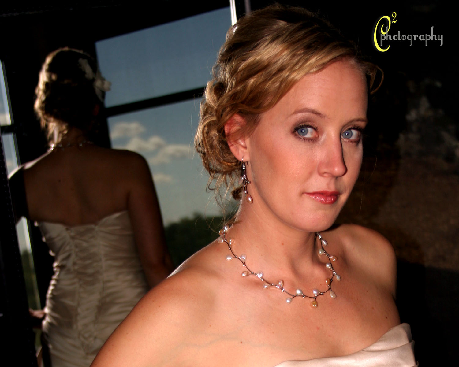 Dissertation vs thesis image