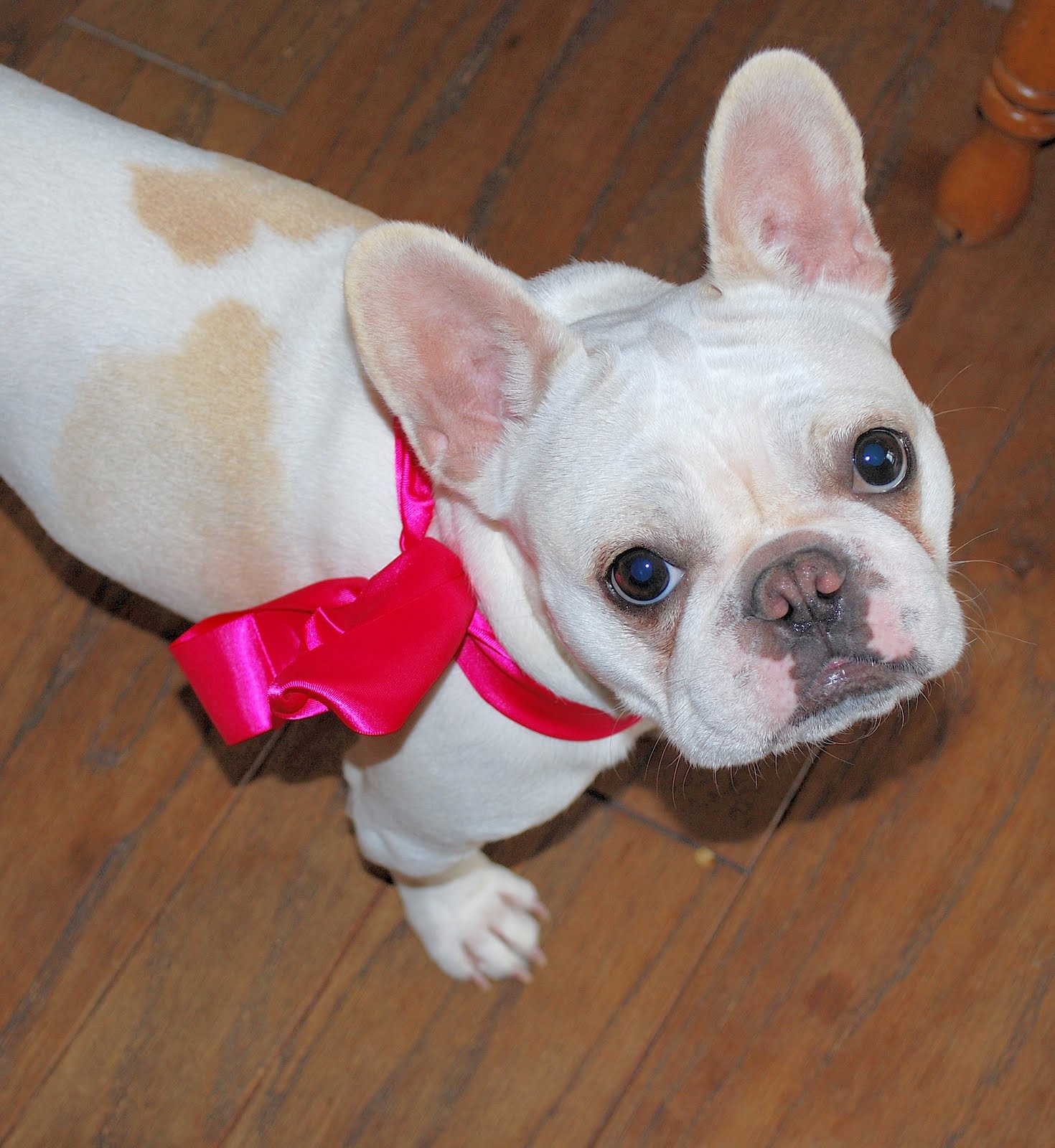 [Copy+of+DSC_0196.JPG]