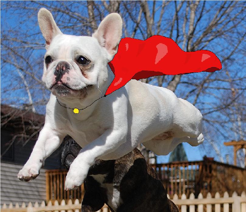 [Yvie+cape+2.JPG]