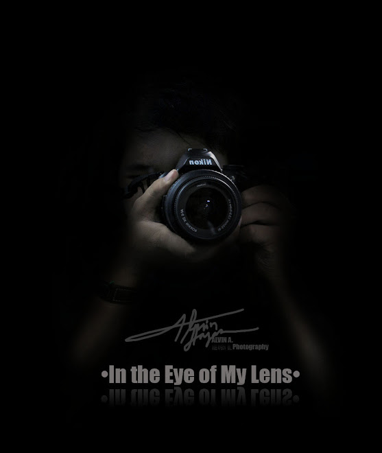 In The Eye of My Lens