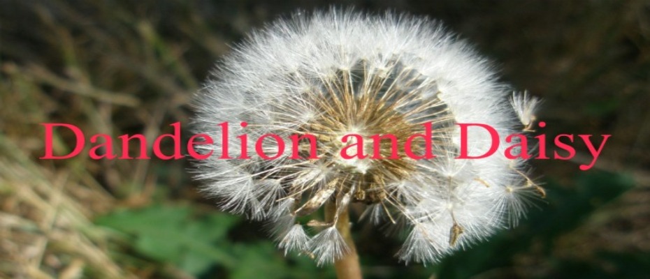 Dandelion and Daisy