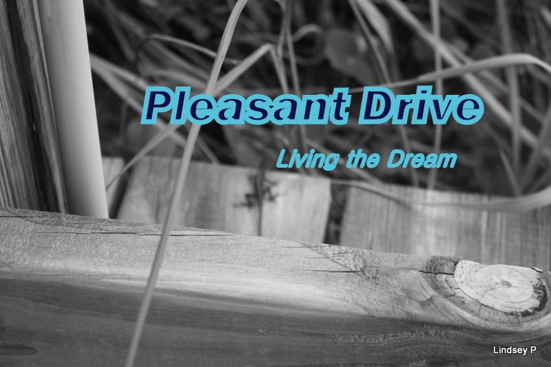 Pleasant Drive