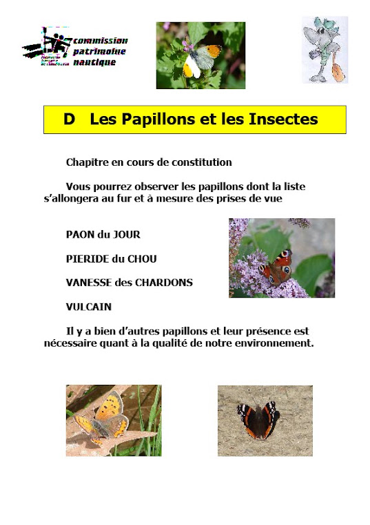 D Les Papillons et Insectes