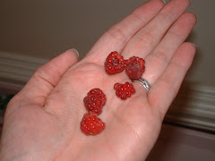 Fresh Raspberries