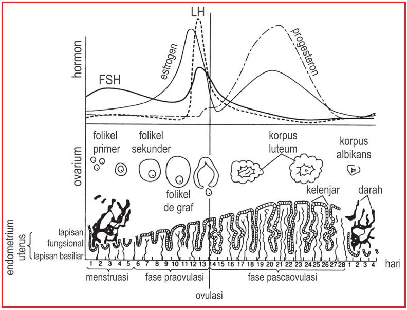 BIOLOGI GONZAGA REPRODUKSI MANUSIASMA