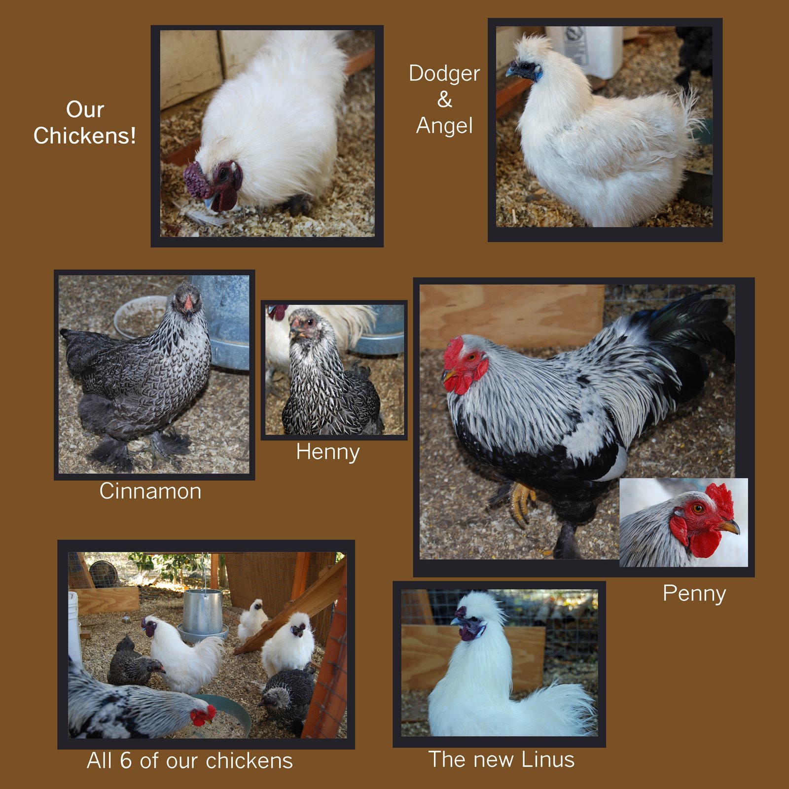 [1-26+chickens+copy.jpg]