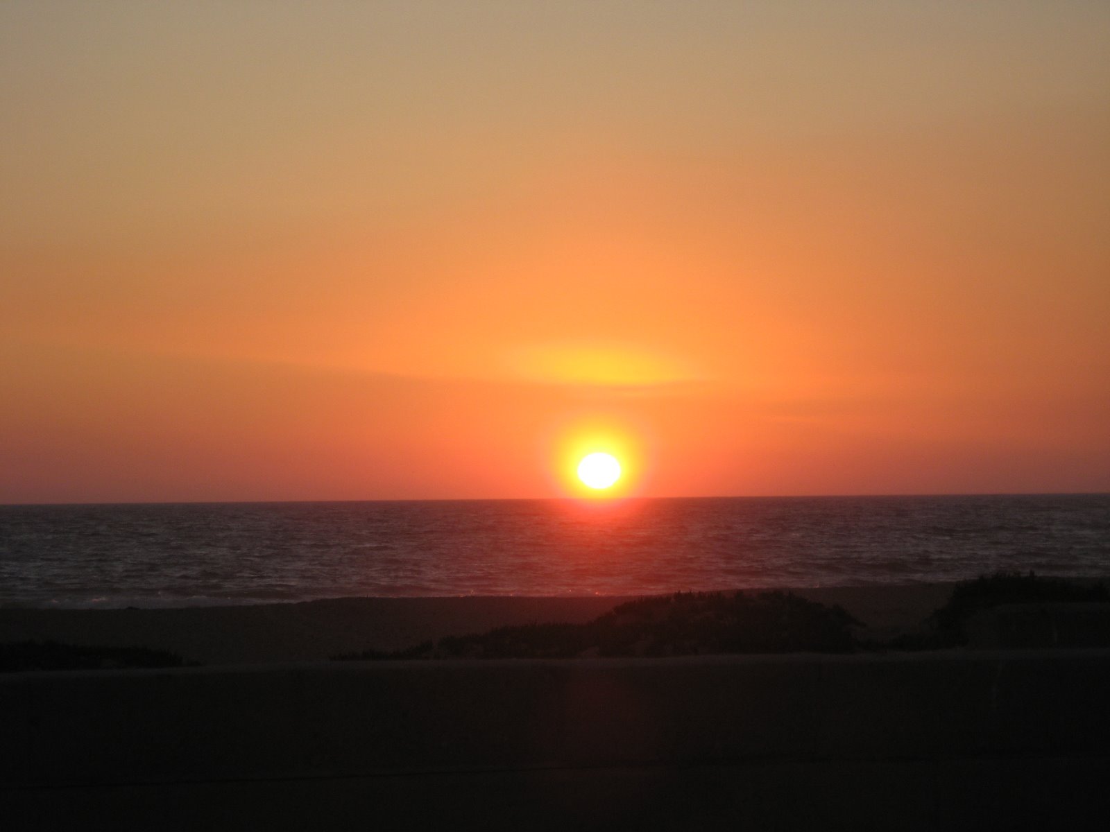 [IMG_1031.jpg]