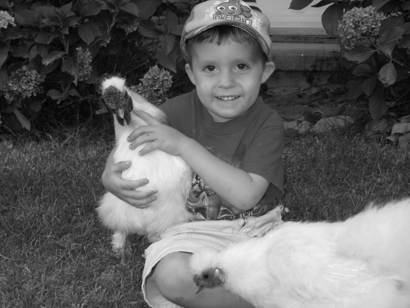 [IMG_1157+b+7+w.jpg]