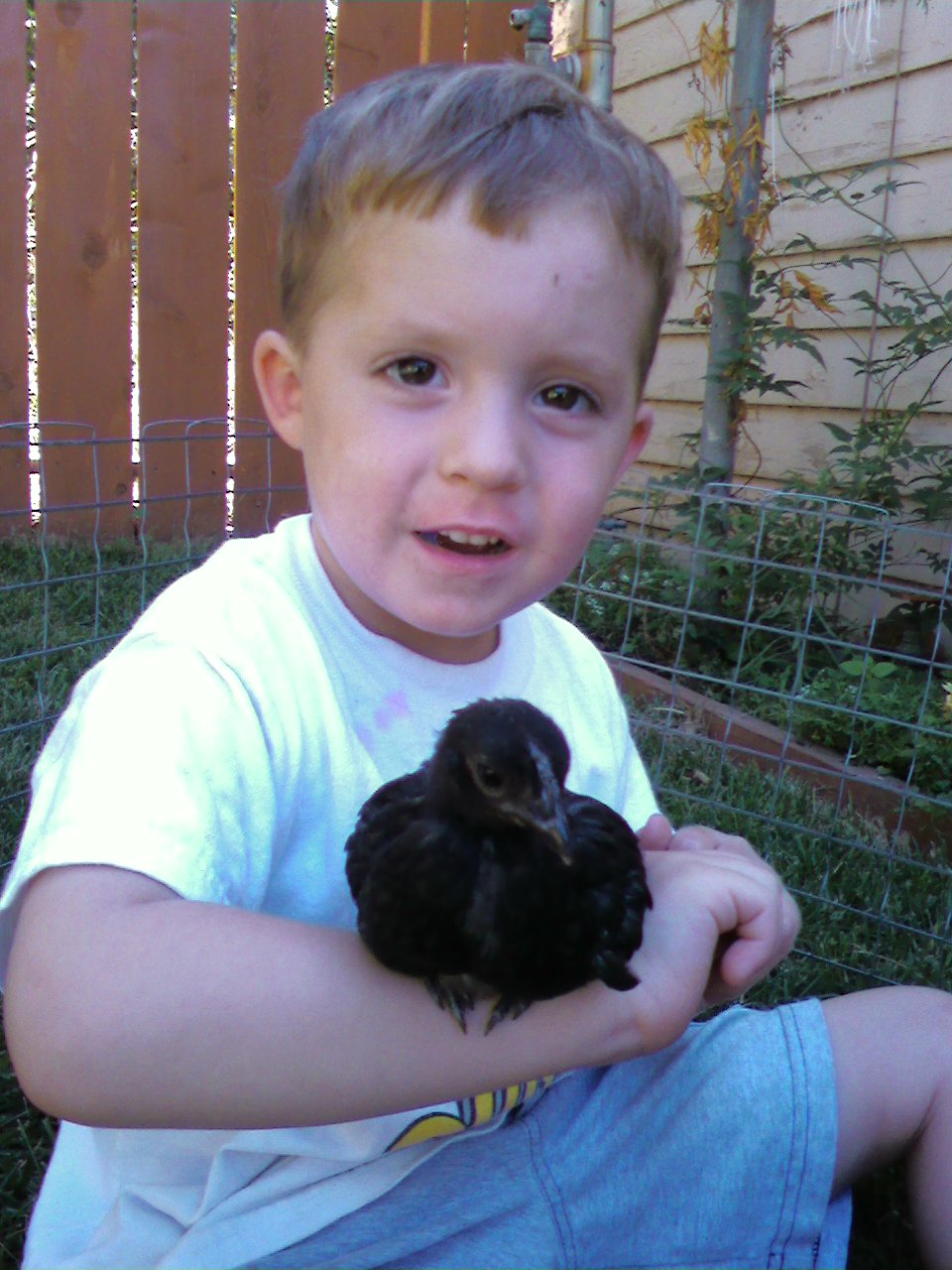 [!CID__0813071554.jpg]