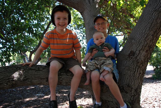 [DSC_0082-721217.JPG]