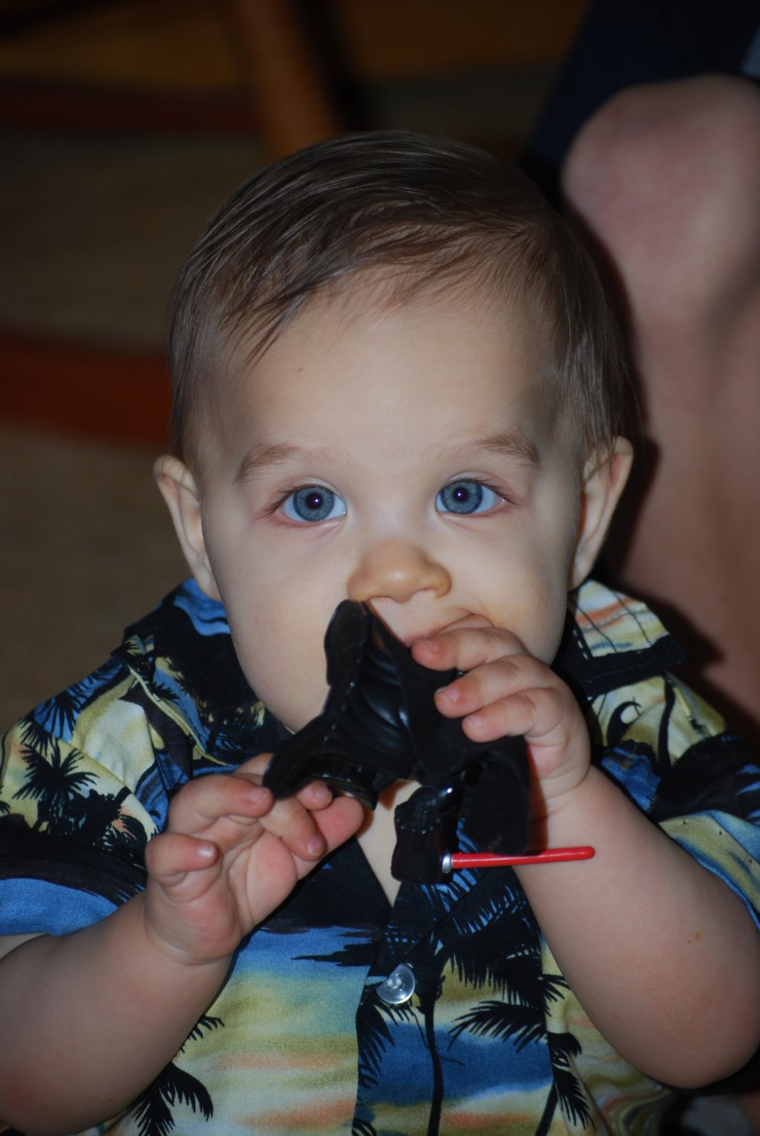 [DSC_0066.JPG]