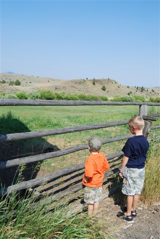 [DSC_0415-792602.JPG]