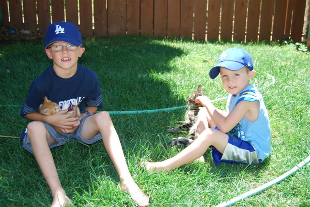 [DSC_0004-745873.JPG]