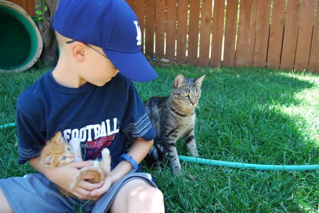 [DSC_0007-747251.JPG]