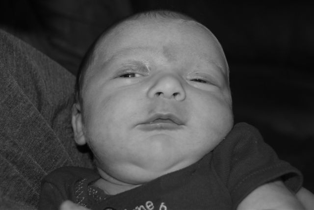 [CSC_0051-723751.JPG]