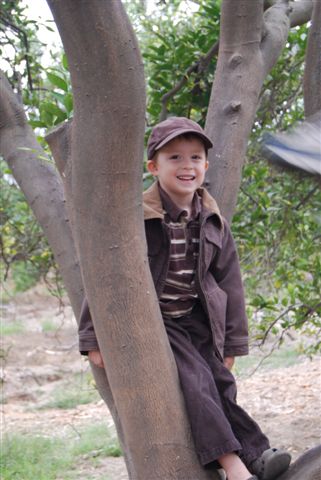 [DSC_0093-745606.JPG]