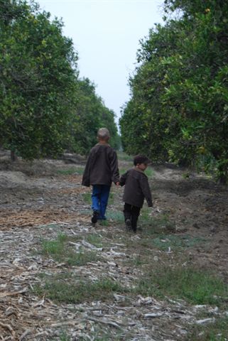 [DSC_0102-745873.JPG]