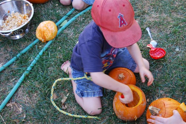 [DSC_0008-767070.JPG]