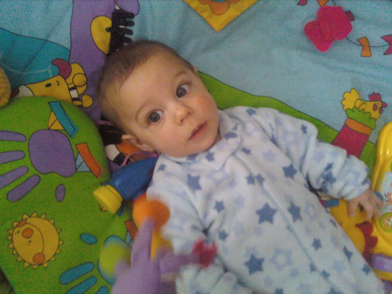 [1217081200-795792.jpg]